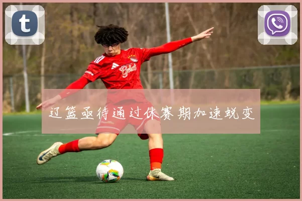 辽篮亟待通过休赛期加速蜕变